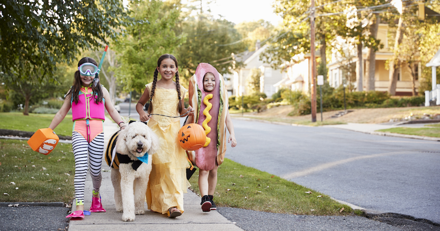 children in costume trick or treating in neighborhood with a dog